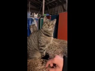 video from @videfunny | @videfunny