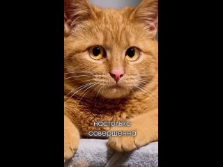 video from @videfunny | @videfunny
