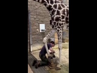 vine | @videfunny
