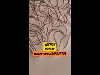 vine video | @videfunny