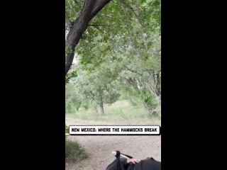 just great | @videfunny