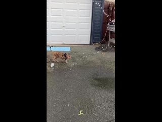 video from @videfunny | @videfunny