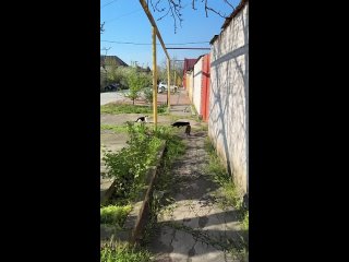 clip @videfunny | @videfunny