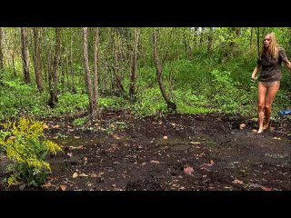 star and the bog flowers