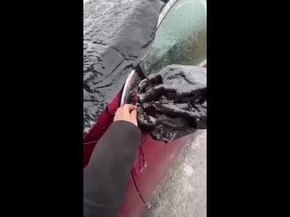 i created hemorrhoids in the morning and lift the wipers is harmful