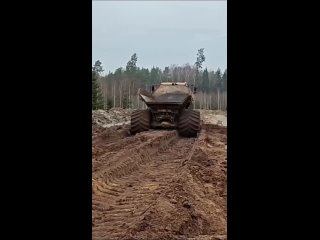 here's what size