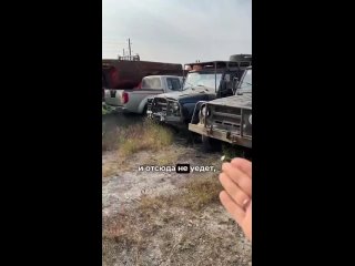 you trust the fact that this is a place where there are 100 abandoned cars
