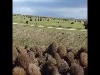 clip from black
