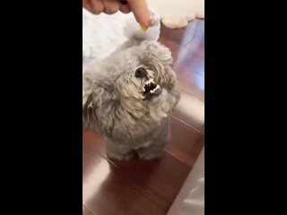 bite a little