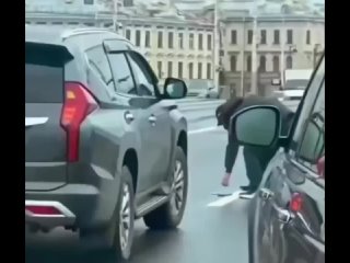 miloty day: petersburgers saved a duck family walking among cars on the cloud bridge