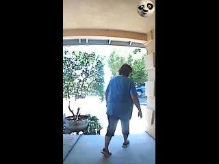 cool videos | @videfunny
