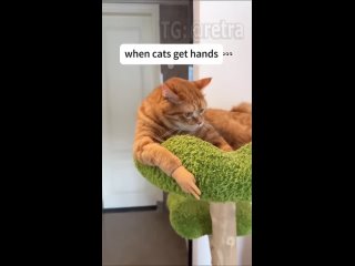 video from @videfunny | @videfunny