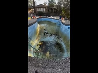 vine | @videfunny