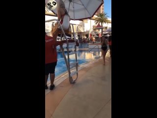 a selection of video | @videfunny