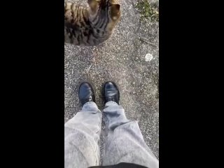 video from @videfunny | @videfunny