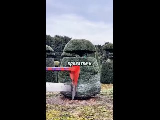 vine | @videfunny